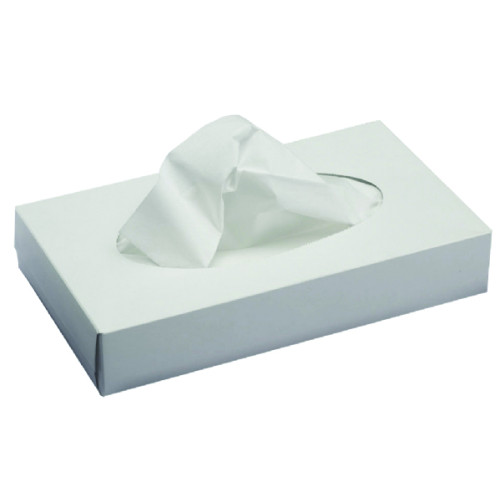 Professional Tissues (100)