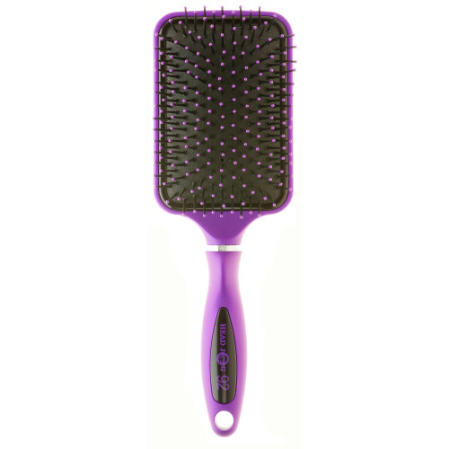 Head Jog 92 â€“ Purple Paddle Brush