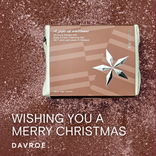 Davroe Christmas Travel Promotion