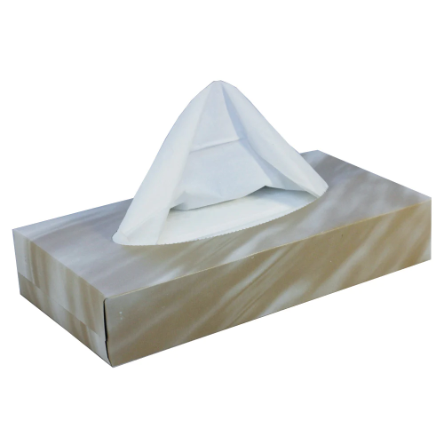 Agenda - Man Size Tissue (100Pcs)