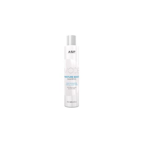 ASP - Moisture Boost Shampoo