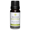 Kaeso 100% Pure Essential Oils - Eucalyptus 10Ml