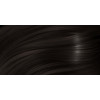 ASP - B:Brown Colours