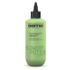 Osmo Blowdry Potion 250ml