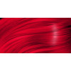 ASP - B-Red