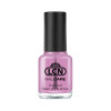 Top Coat Flash Dry & Shine 8Ml